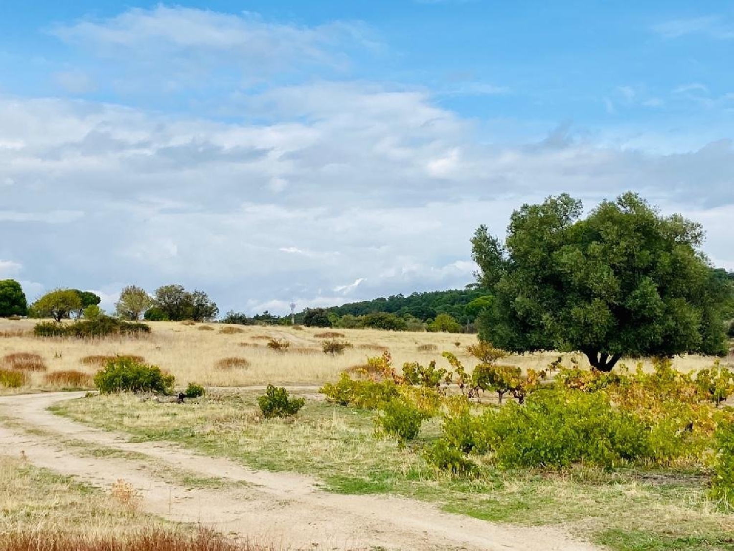  till salu hus Costa De Madrid Sierra Oeste 4