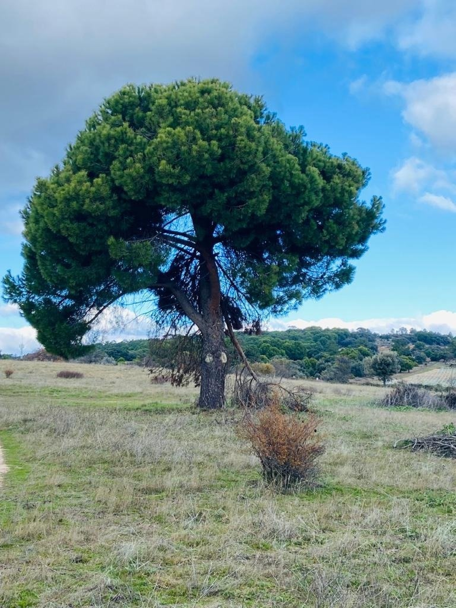  till salu hus Costa De Madrid Sierra Oeste 7