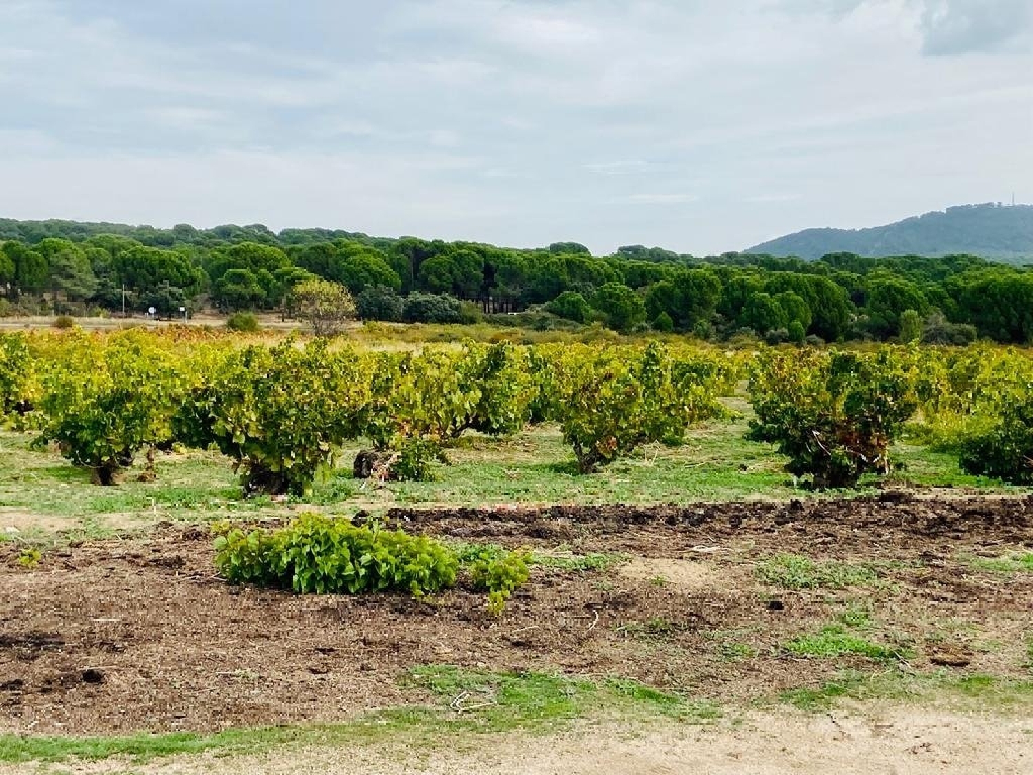  till salu hus Costa De Madrid Sierra Oeste 1