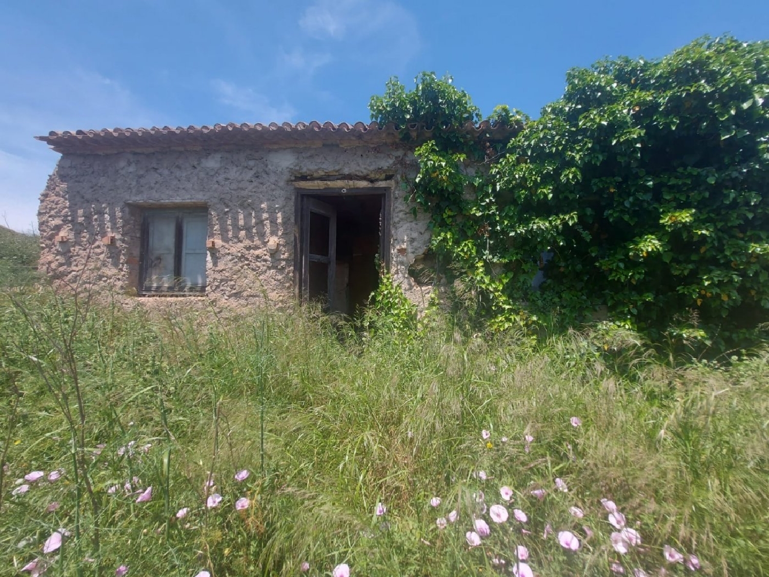  till salu hus Cuesta Blanca De Abajo Campo De Cartagena 1