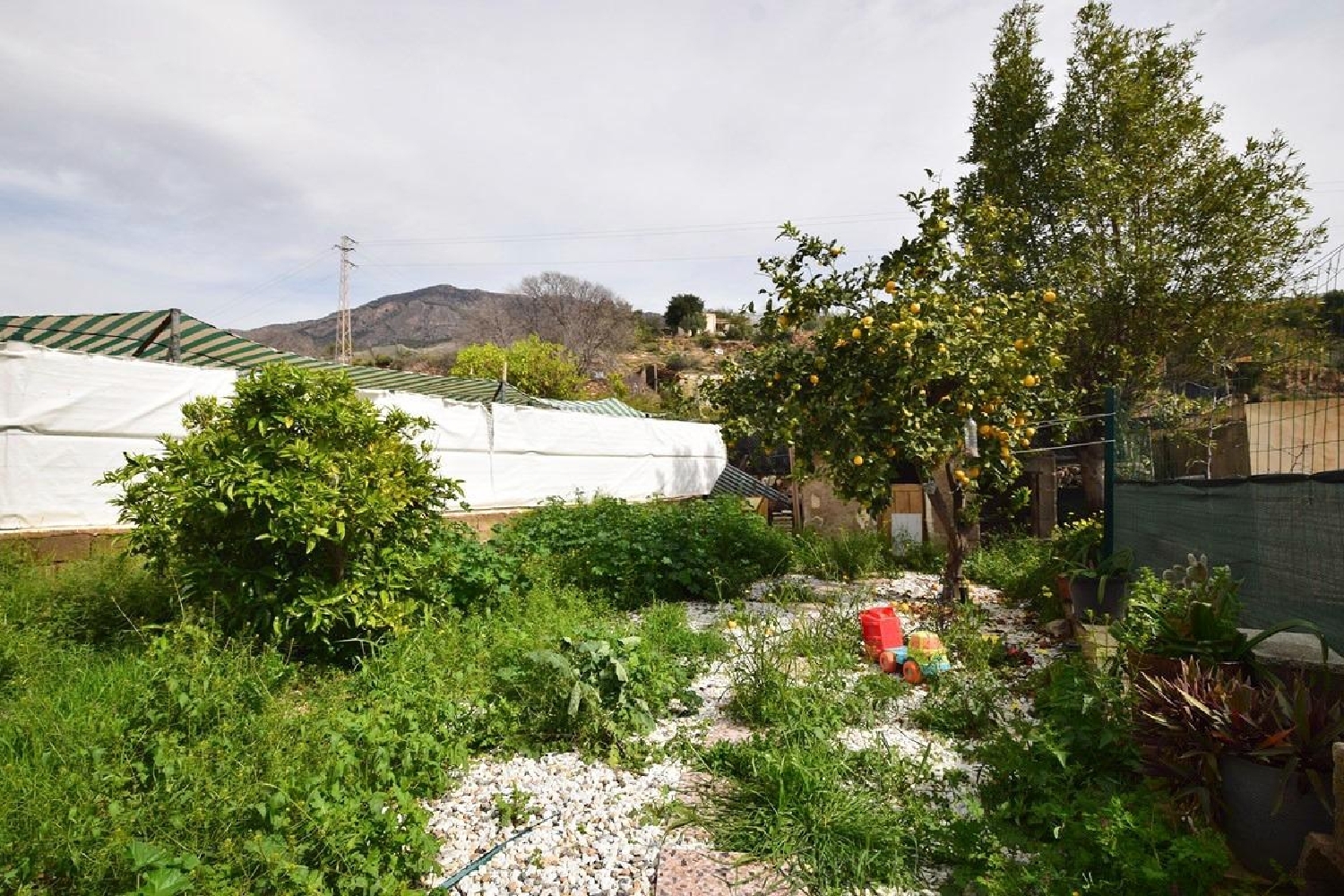  till salu hus Dalias Poniente Almeriense 5