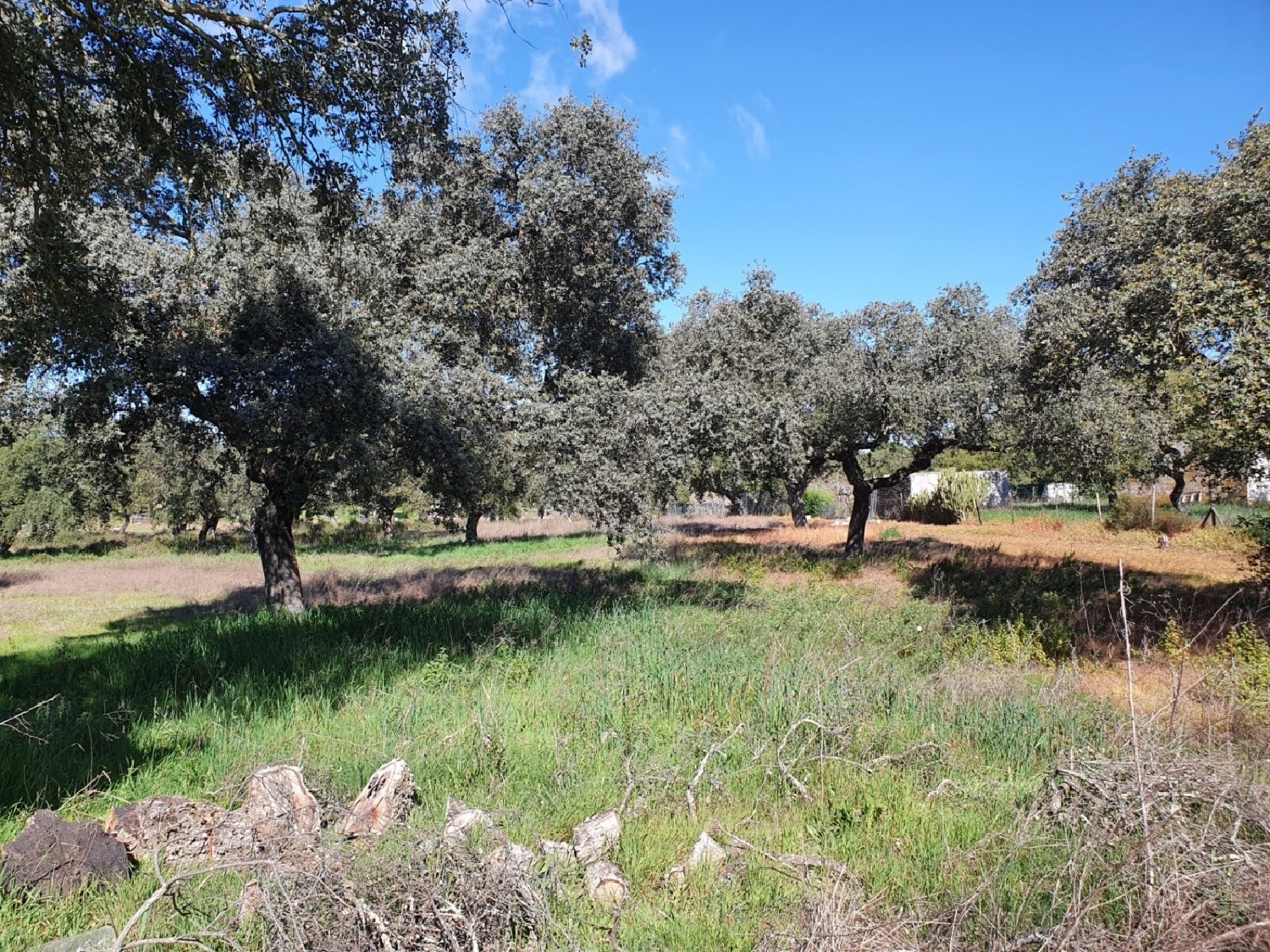  till salu hus Dehesilla De Calamón Badajoz 2