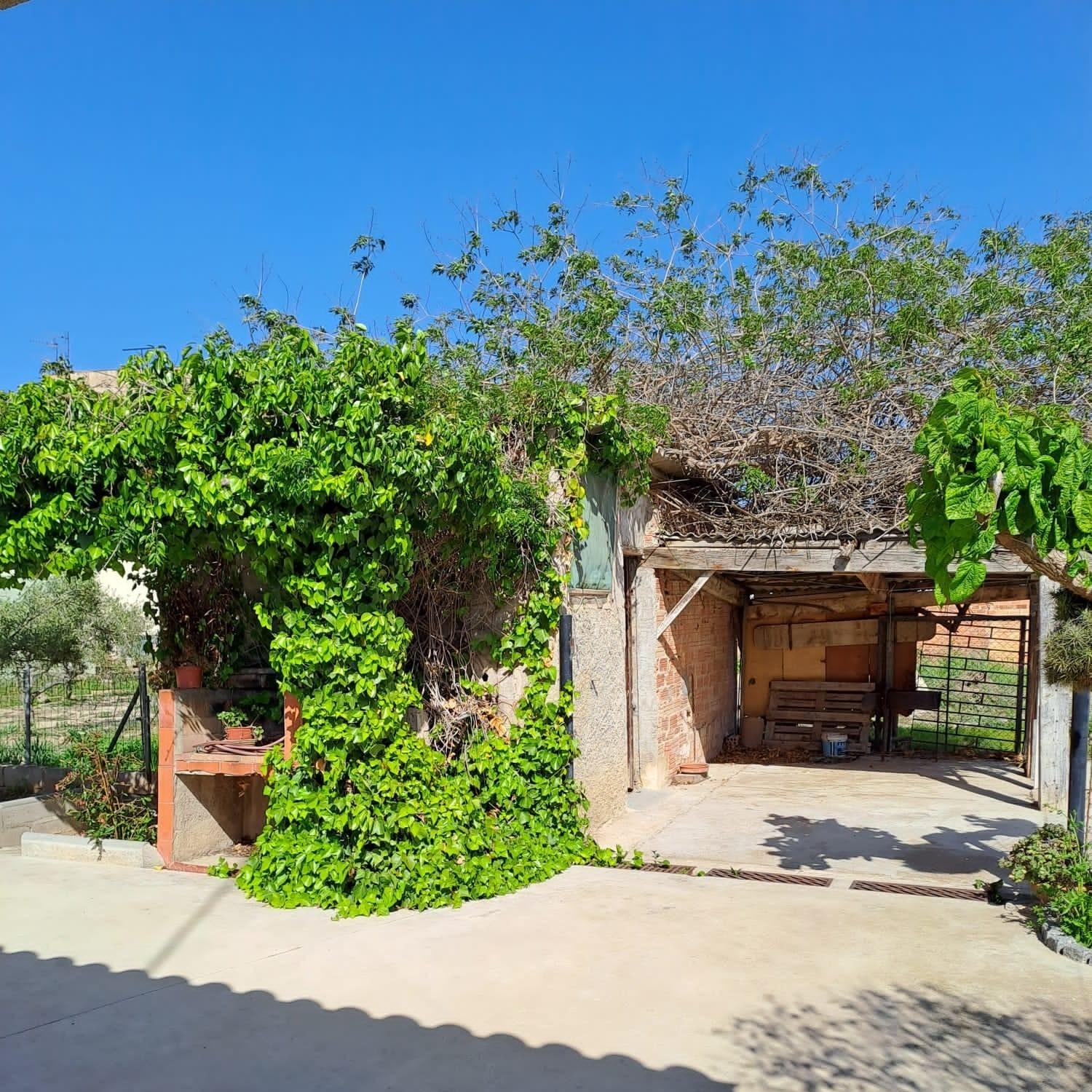 till salu hus Deltebre Baix Ebre 3