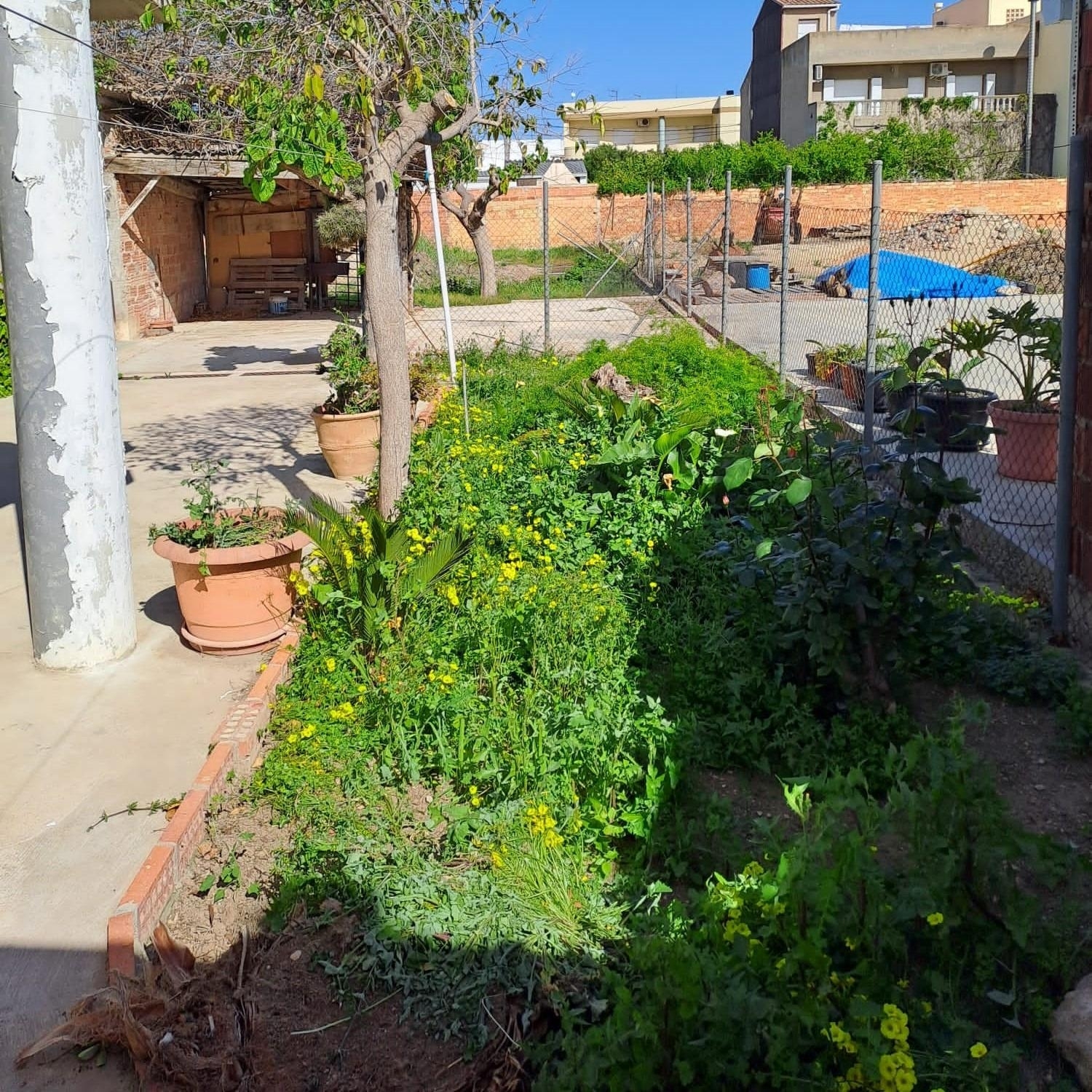  till salu hus Deltebre Baix Ebre 4