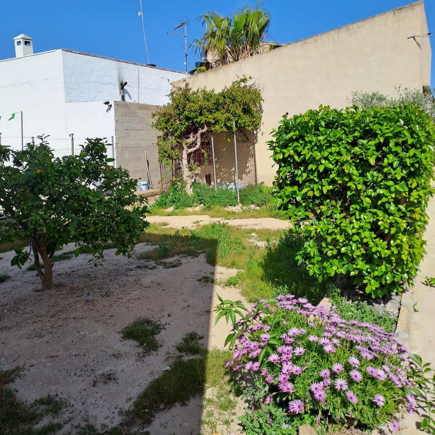  till salu hus Deltebre Baix Ebre 5