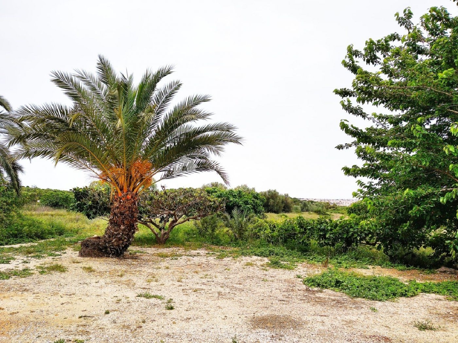  kaufen Haus El Altet Baix Vinalopó 8
