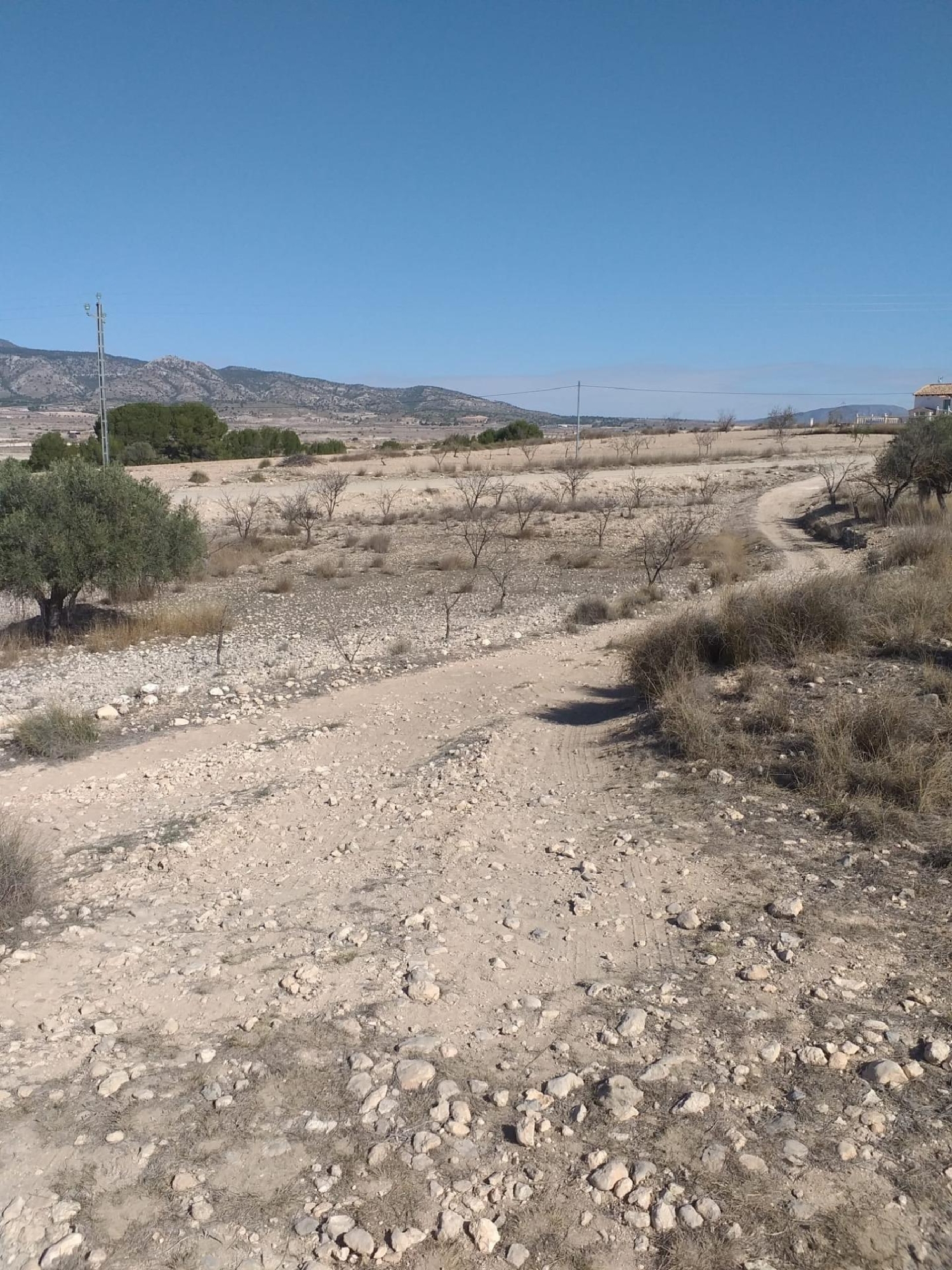 till salu hus El Carche Altiplano 3