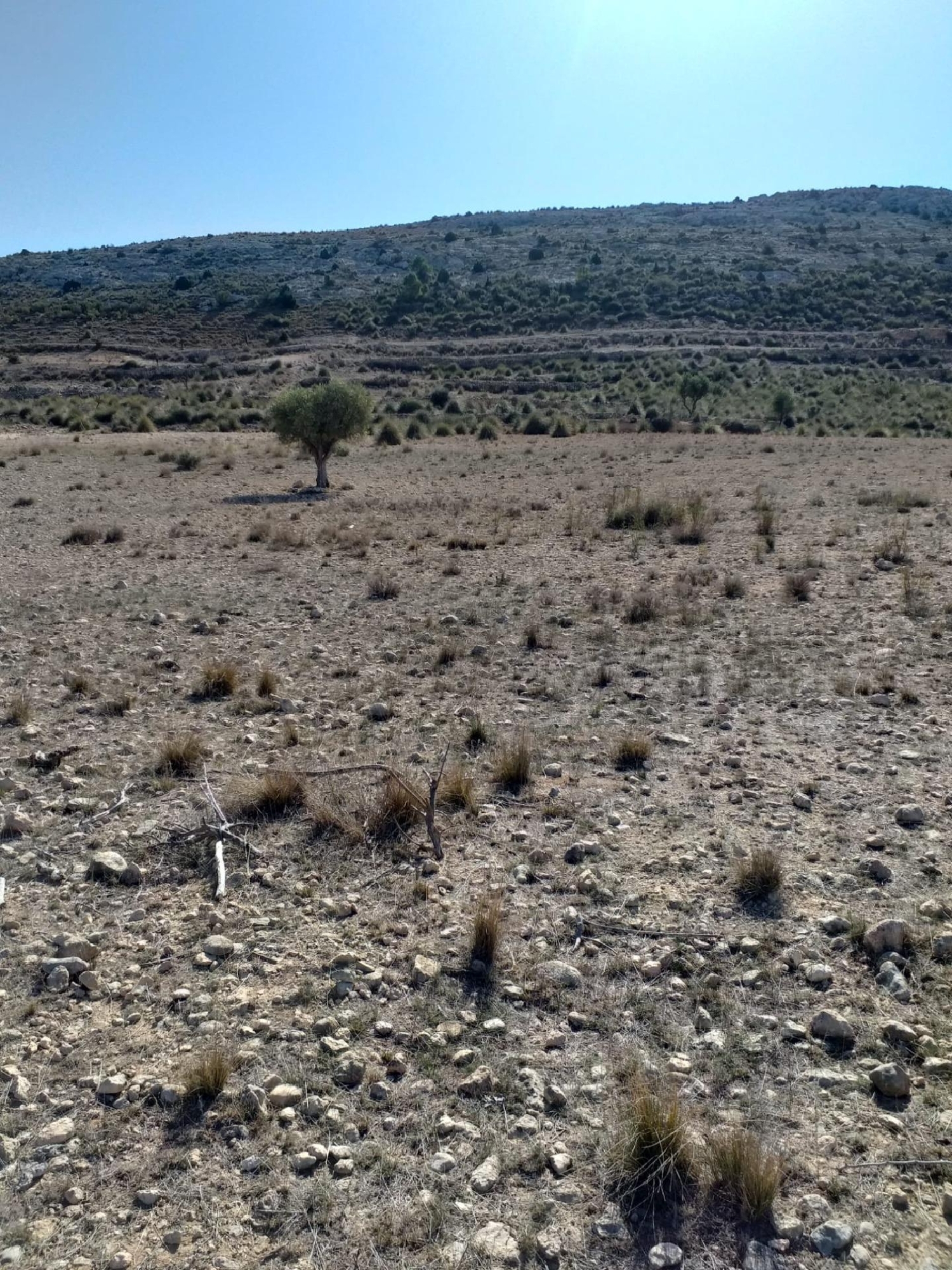  till salu hus El Carche Altiplano 6
