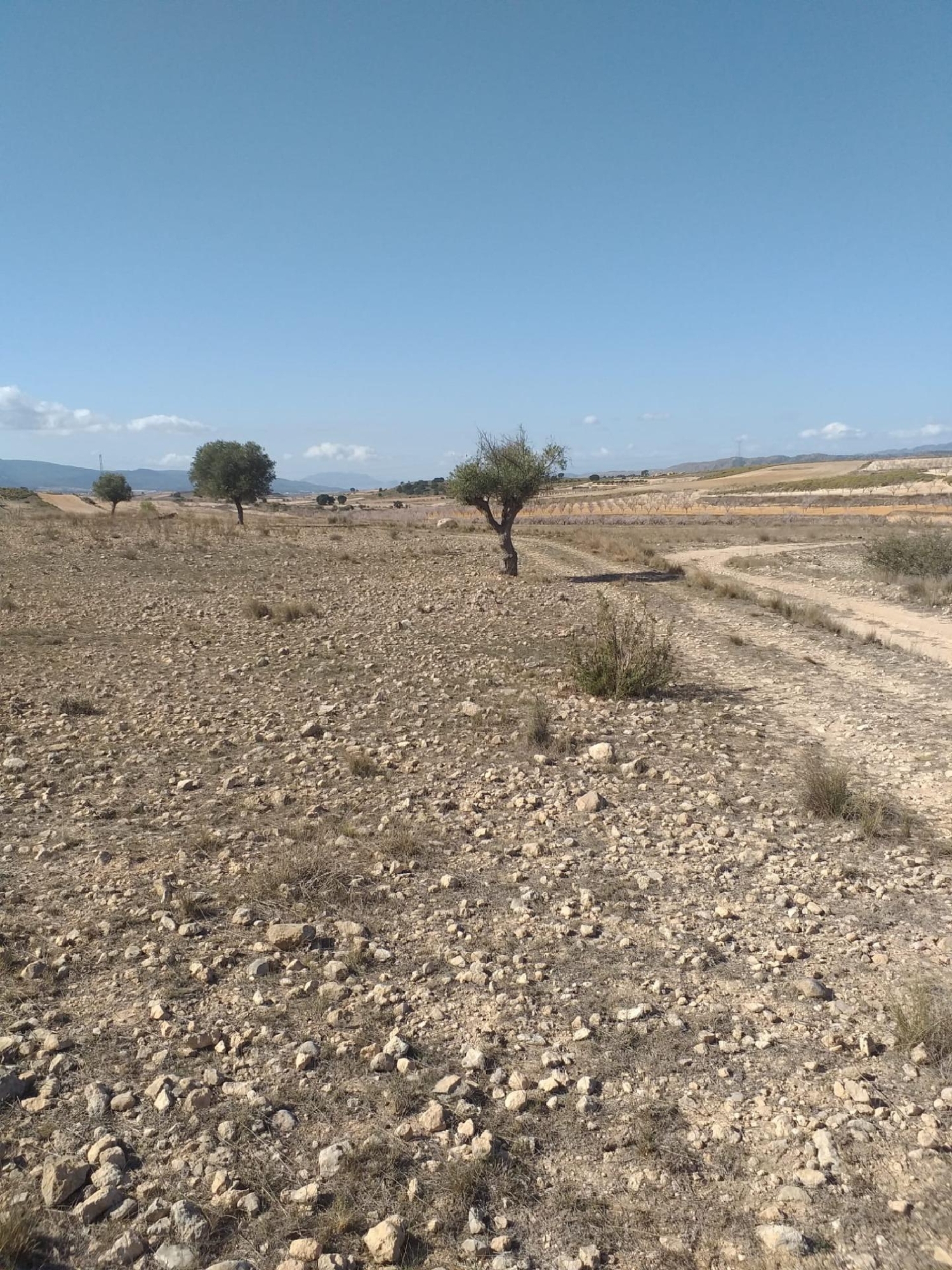  till salu hus El Carche Altiplano 1