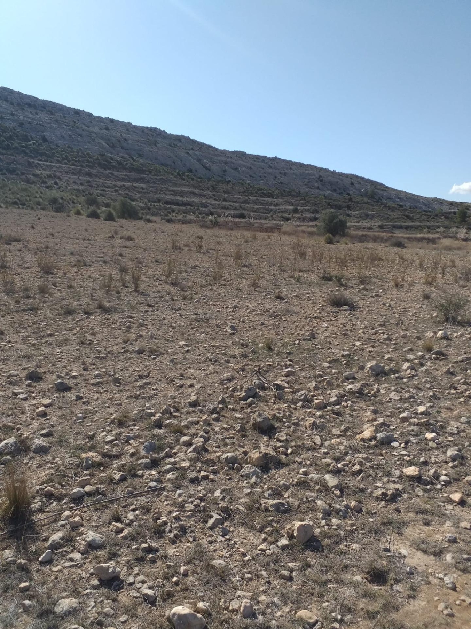 till salu hus El Carche Altiplano 2