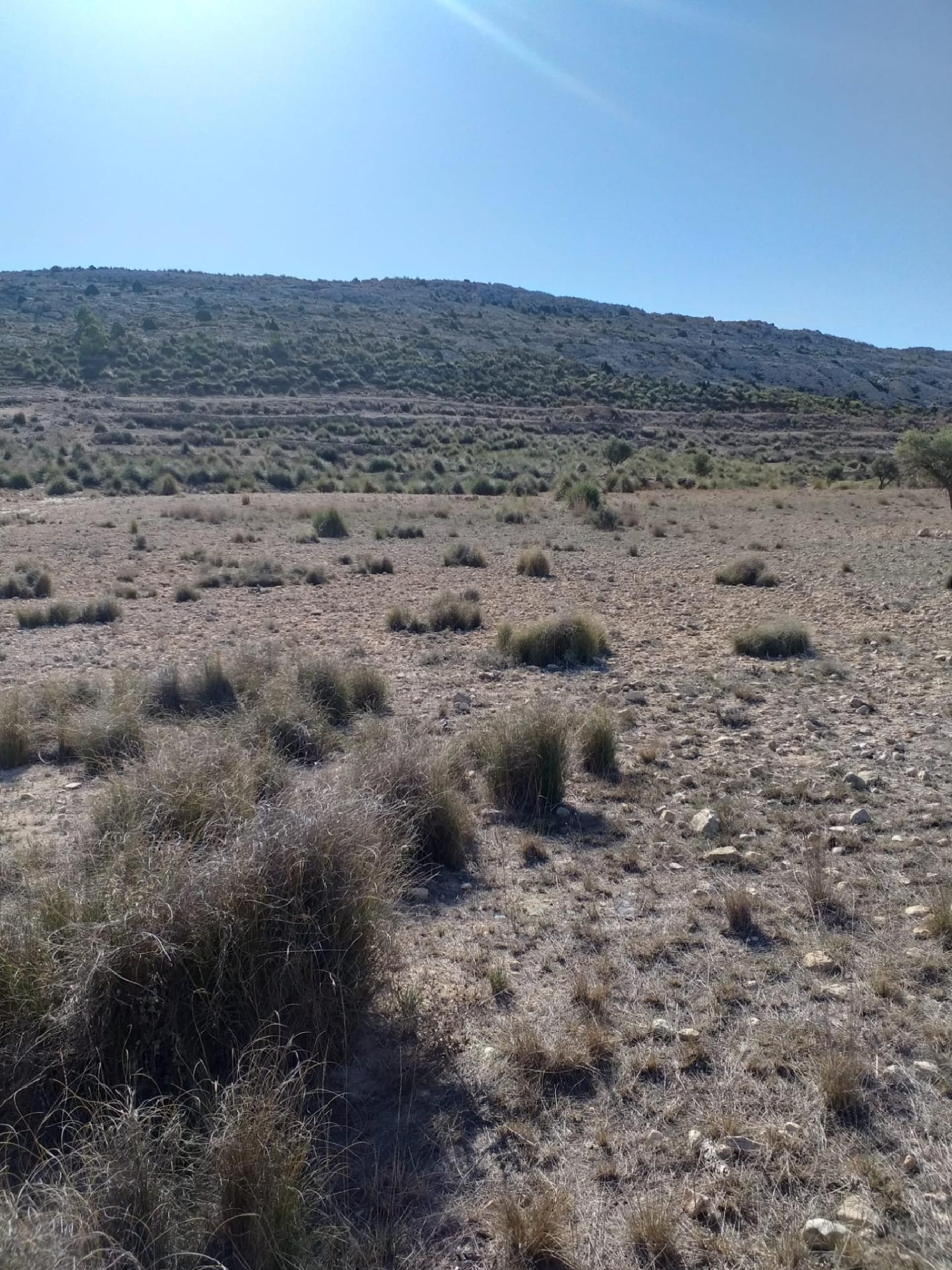  till salu hus El Carche Altiplano 4