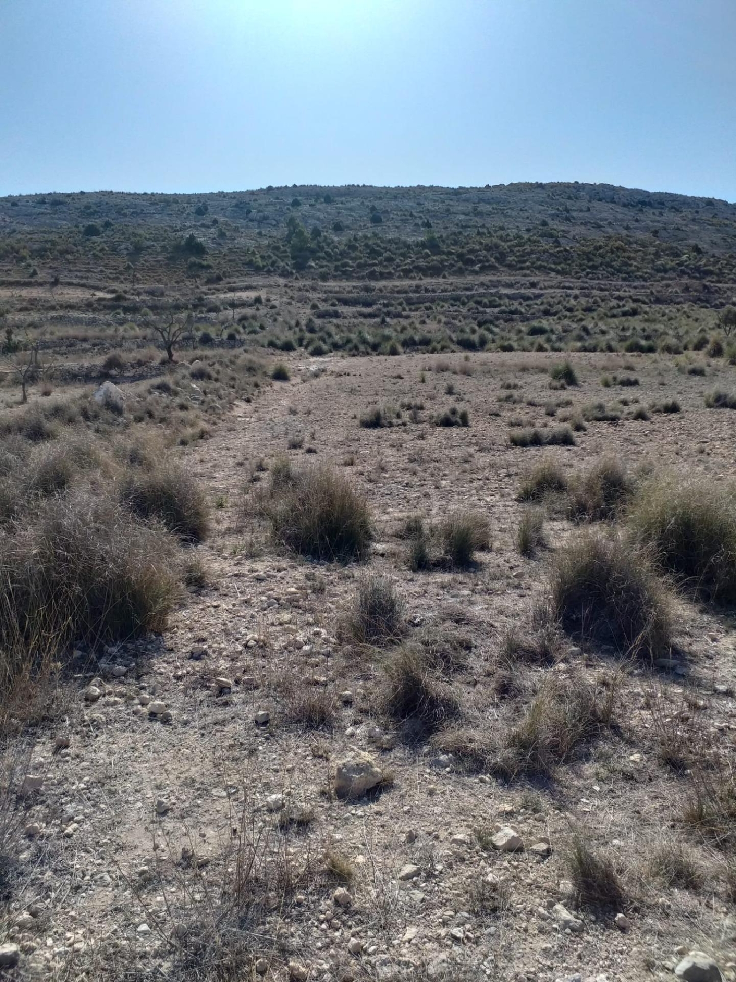  till salu hus El Carche Altiplano 7