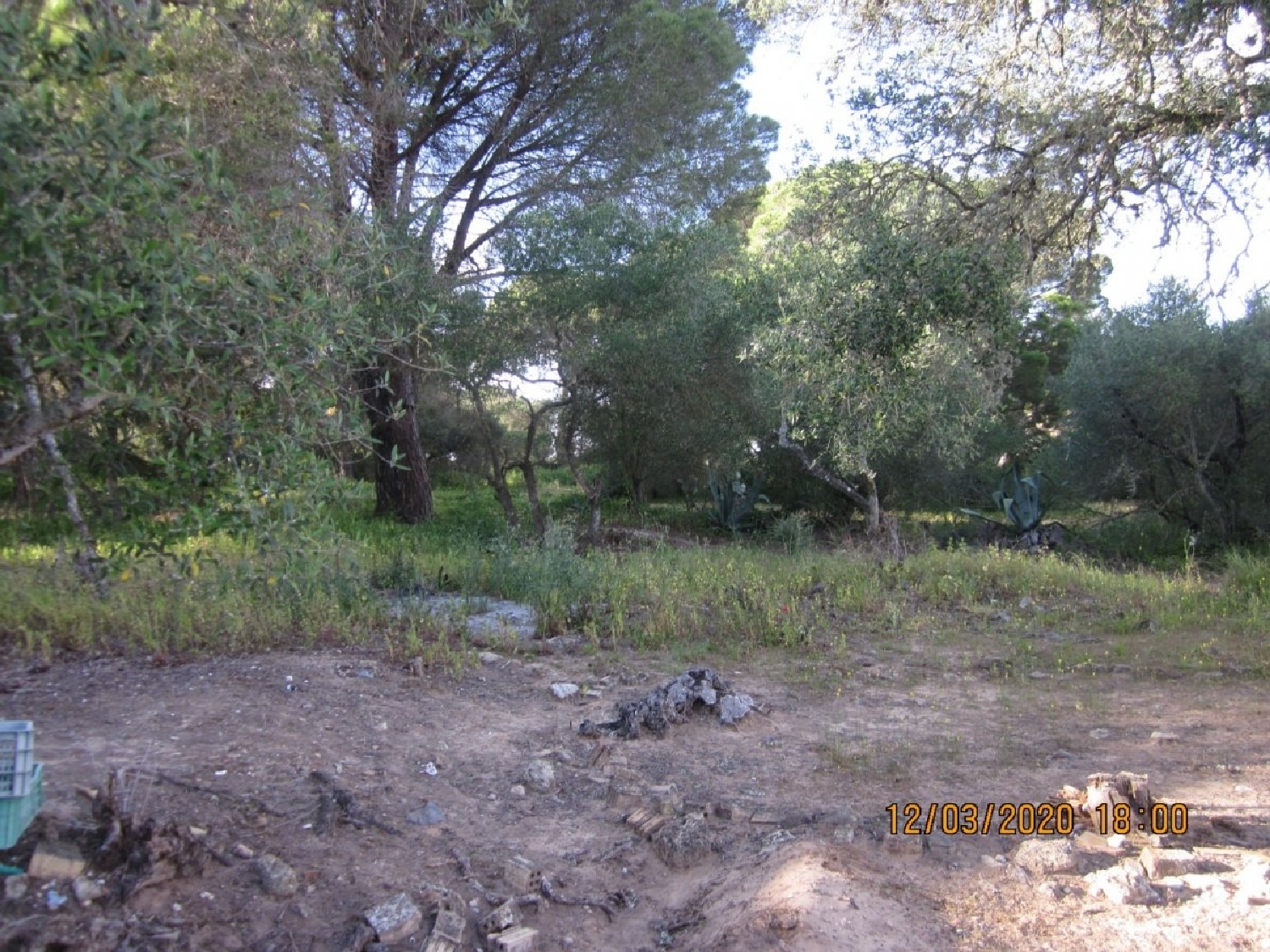  till salu hus El Cuartón Campo De Gibraltar 8
