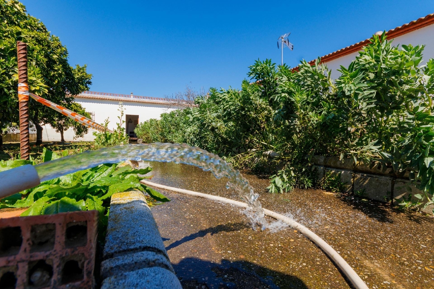 till salu hus La Paz Valle Medio Del Guadalquivir 3