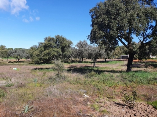 El Manantío Badajoz hus foto 6229018