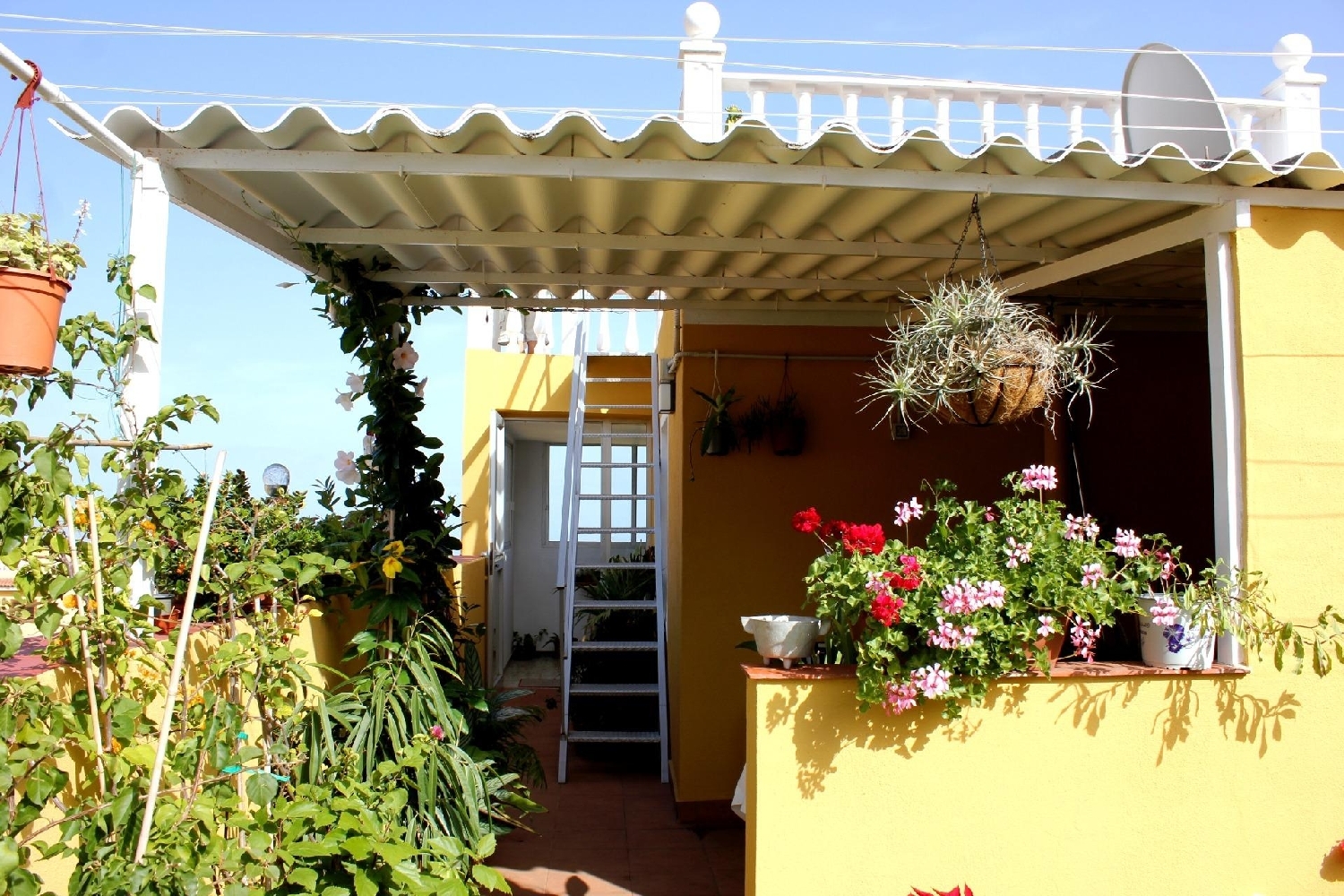  till salu hus El Oregano Zona Norte 1
