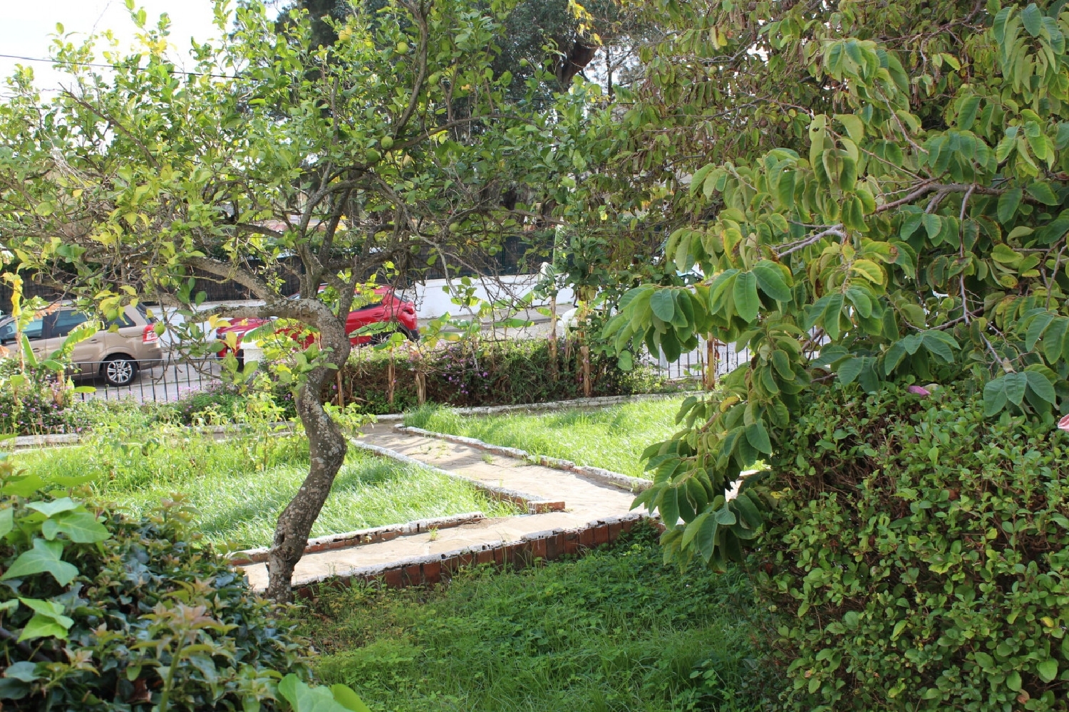  till salu hus El Pelayo Campo De Gibraltar 6