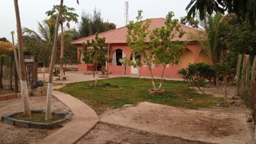 El Pi Alacantí hus foto 6256577