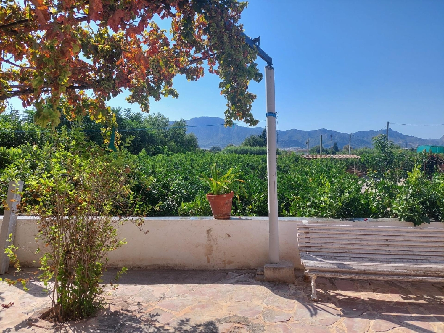  till salu hus El Raal Huerta De Murcia 4