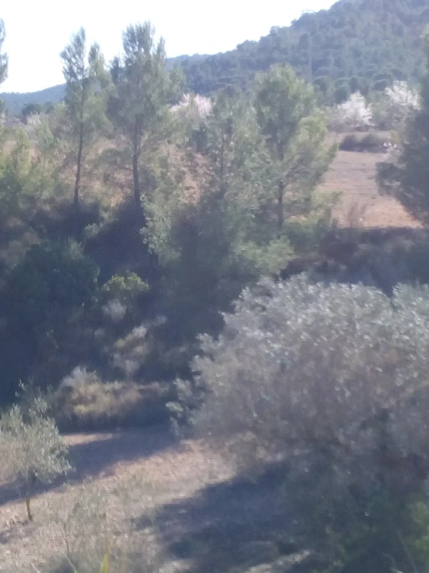 till salu hus Virgen Del Camino Baix Segura 2