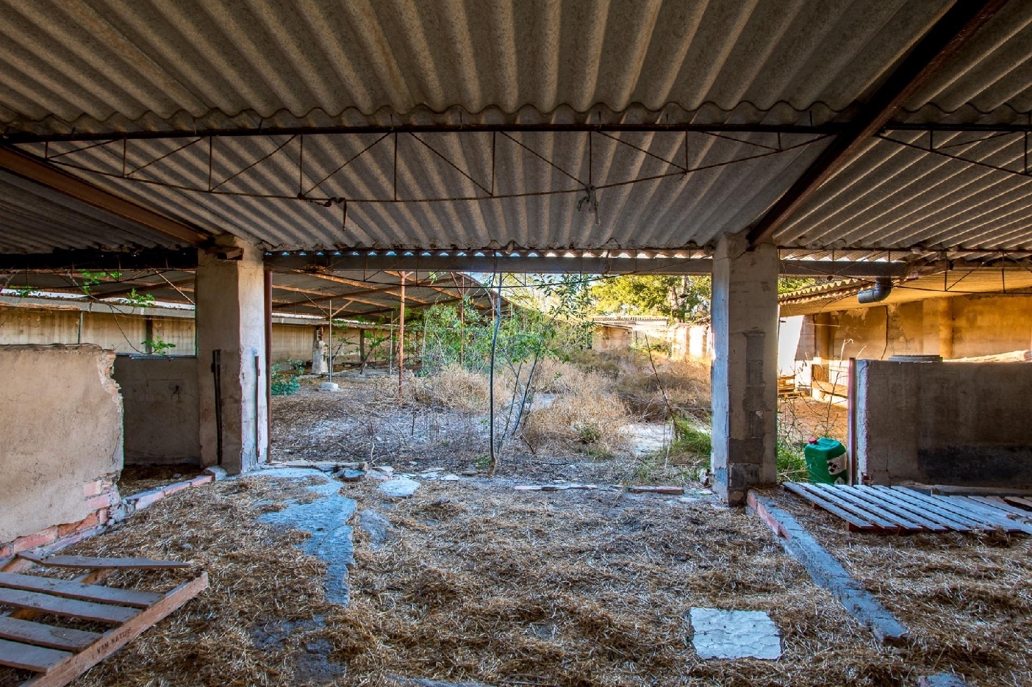  till salu hus El Rellano Vega Media Del Segura 5