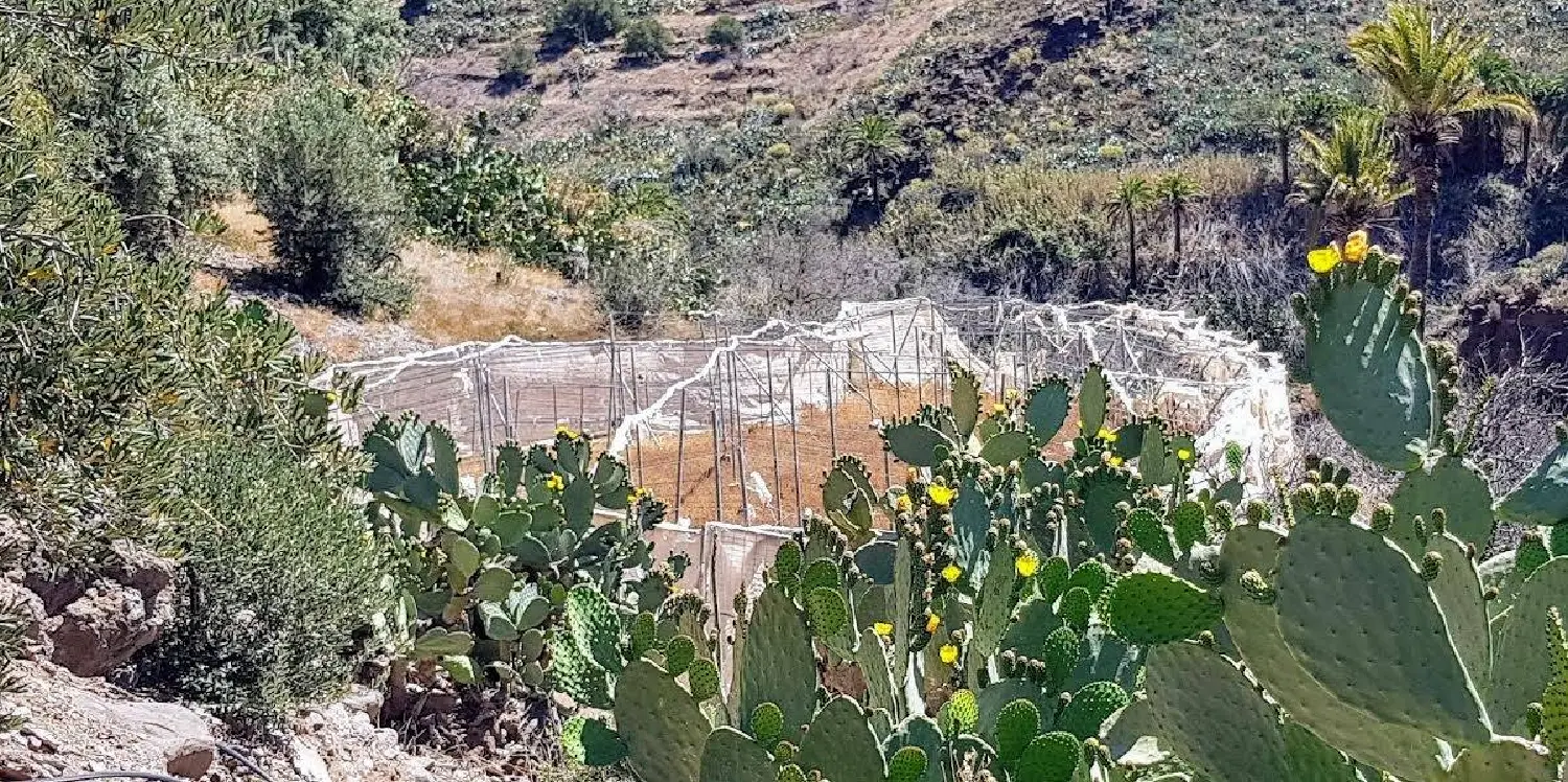till salu hus El Sequero Área Este 3