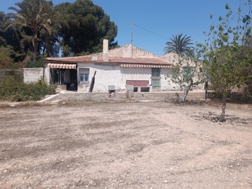 Elche Centro 03202 Baix Vinalopó hus foto 6221600