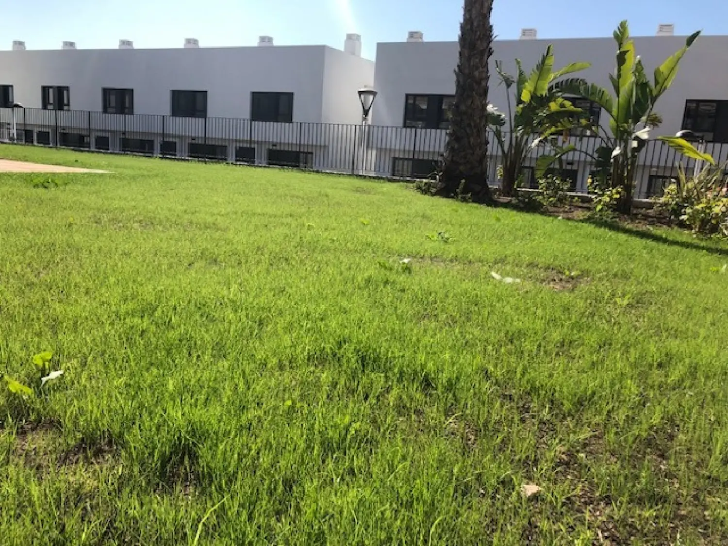 till salu hus Elche Universidad Baix Vinalopó 2