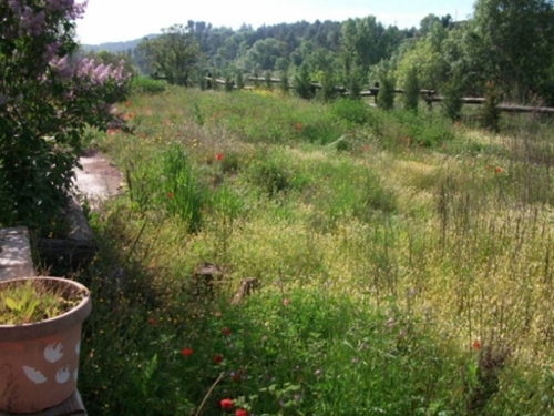Els Comdals Bages hus foto 6259431
