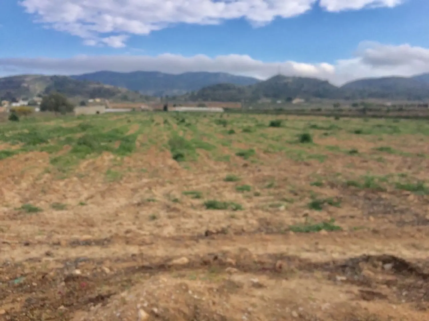  till salu hus La Estacion Vinalopó Mitjà 1
