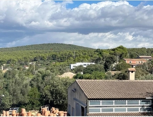 Es Pla De Na Tesa Raiguer hus foto 6241255