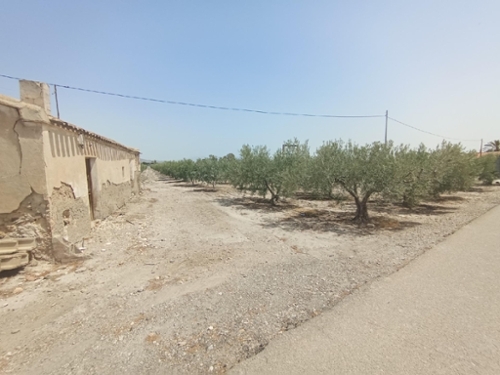 Esparragal Huerta De Murcia hus foto 6249763