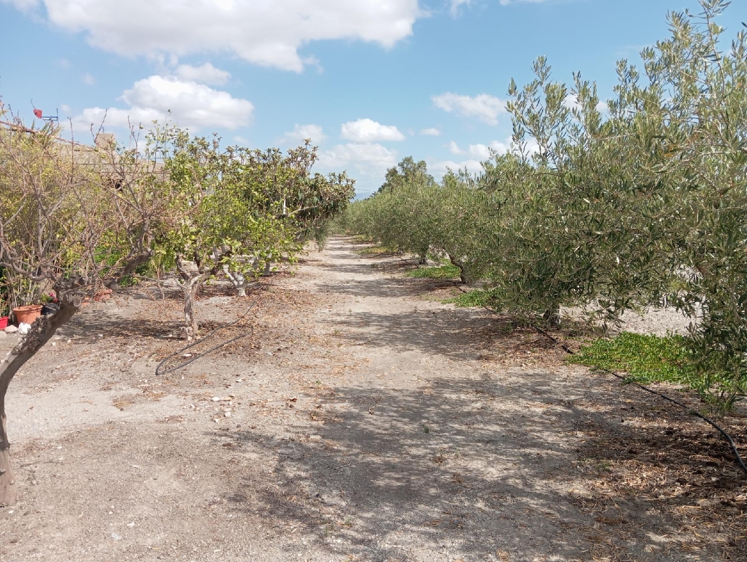  till salu hus Esparragal Huerta De Murcia 5