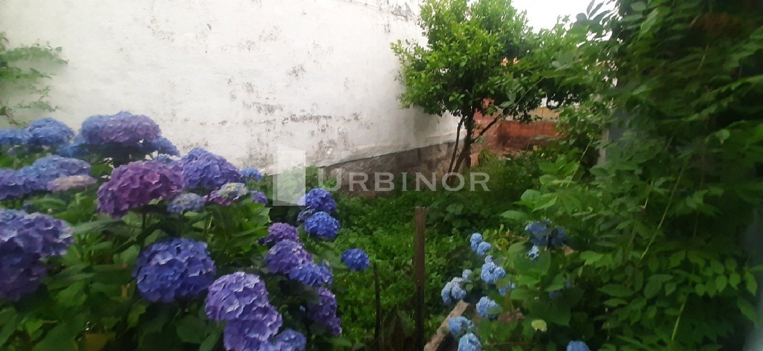  à vendre maison Esposende Ribeiro 7