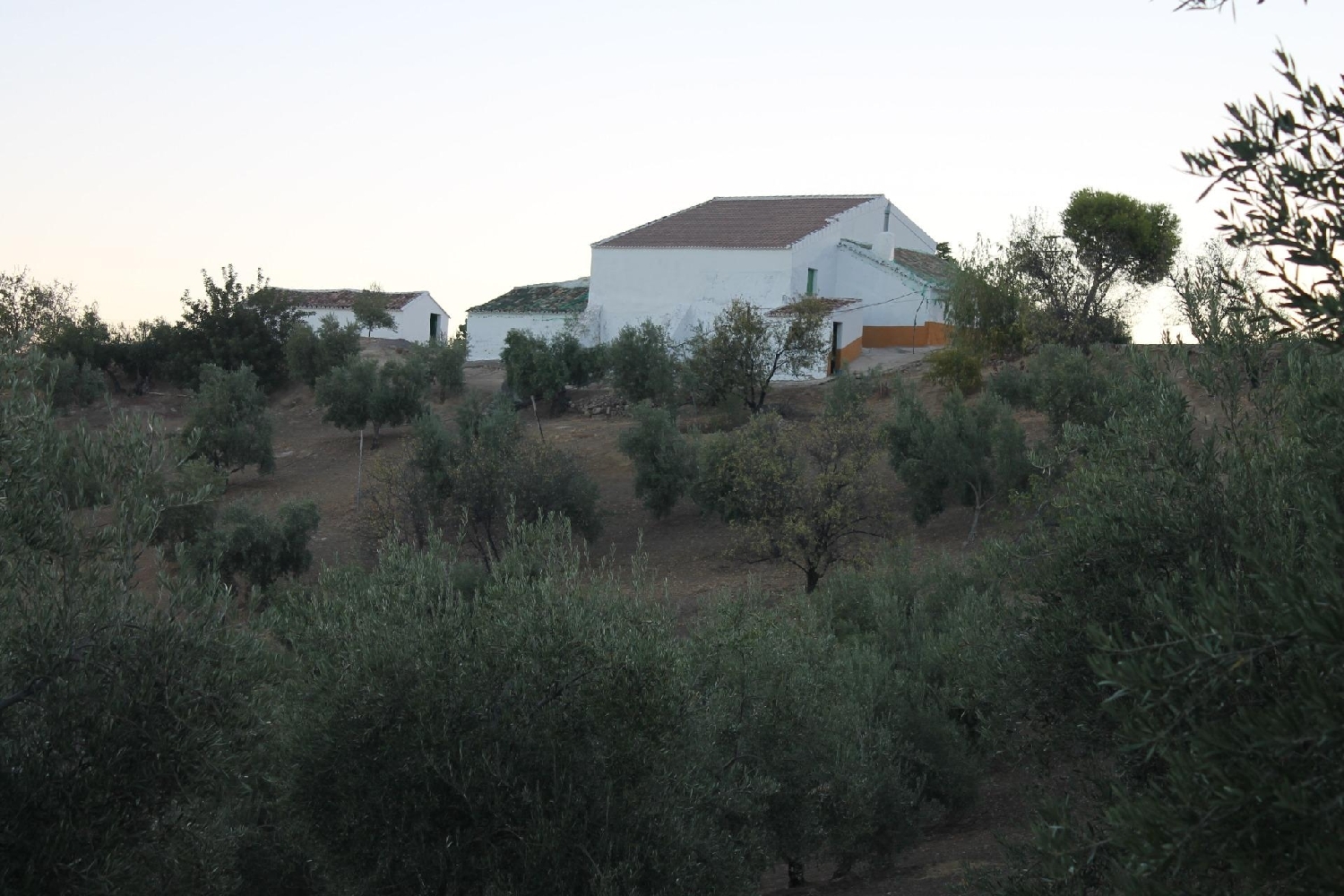 till salu hus Facinas Campo De Gibraltar 2
