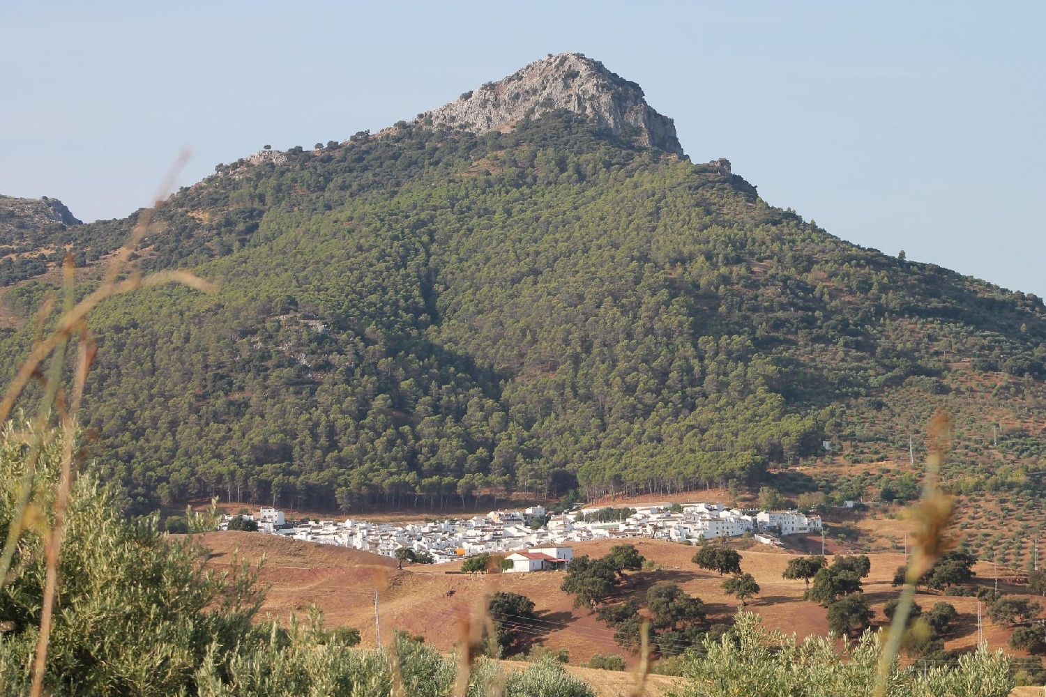 till salu hus Facinas Campo De Gibraltar 3