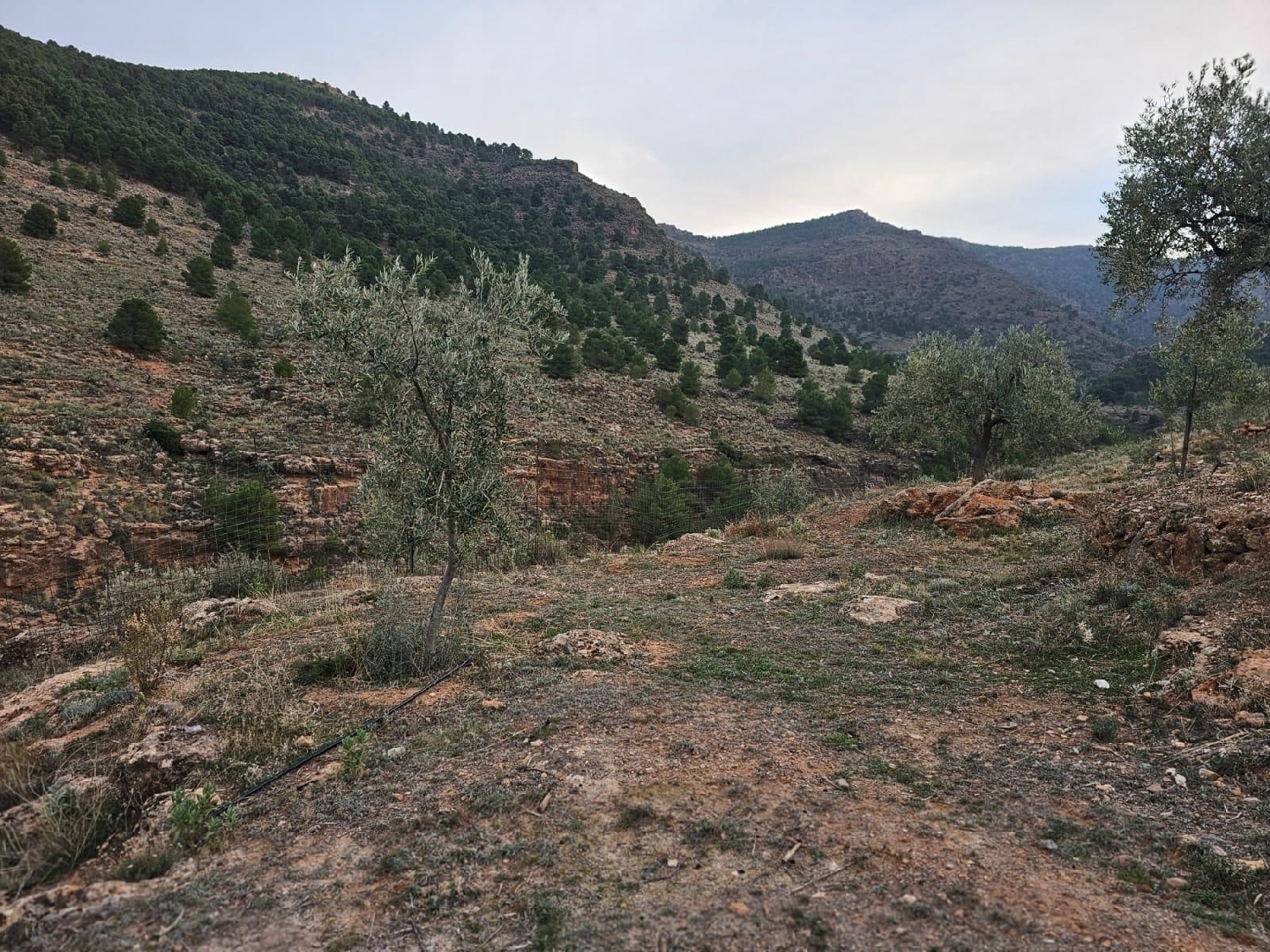  till salu hus Fondón Alpujarra Almeriense 1