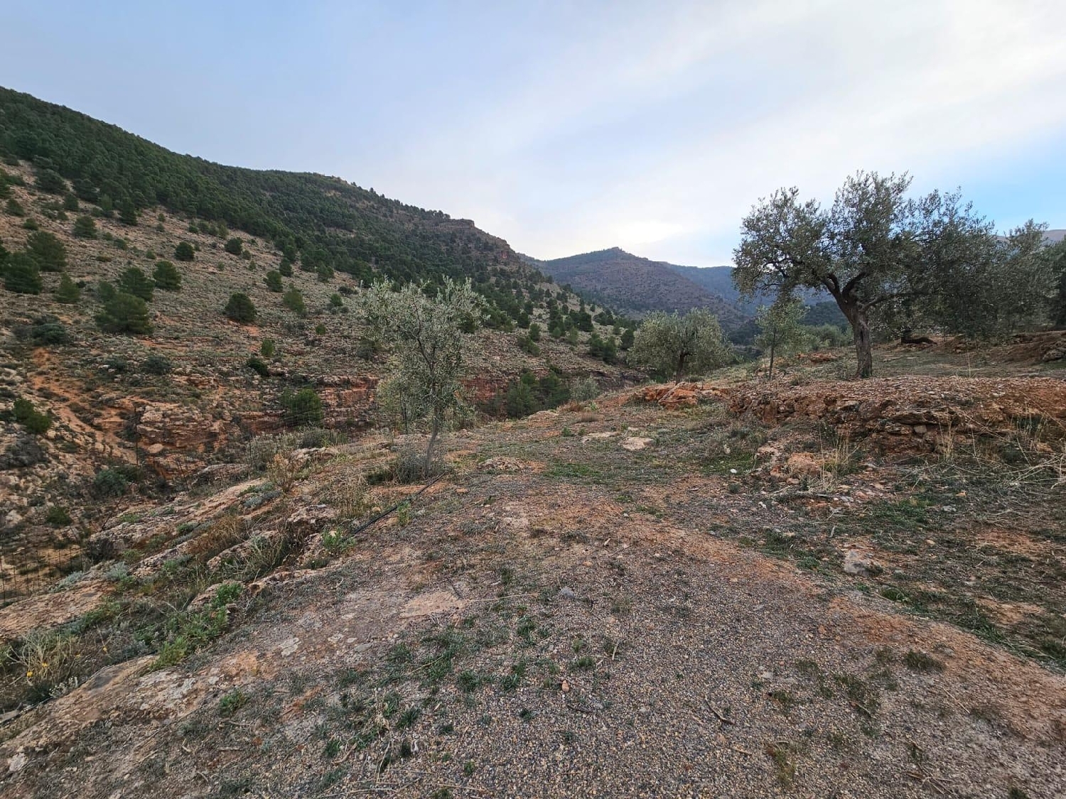  till salu hus Fondón Alpujarra Almeriense 4