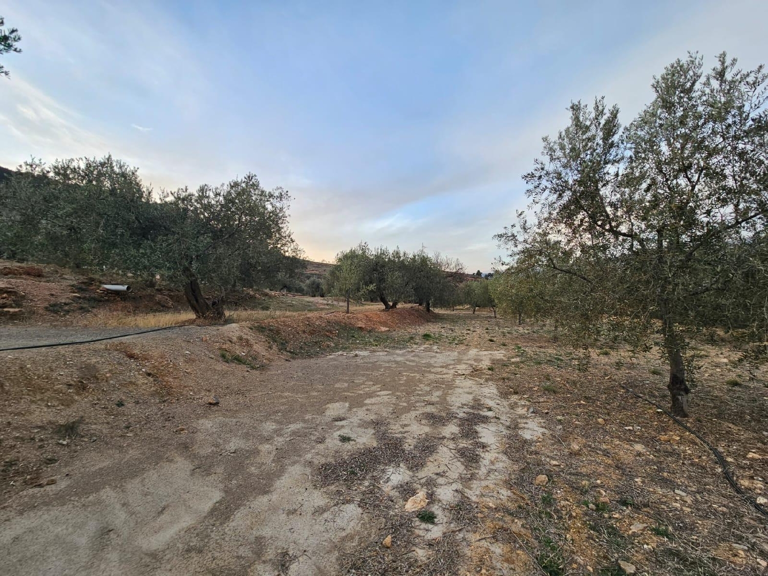  till salu hus Fondón Alpujarra Almeriense 7