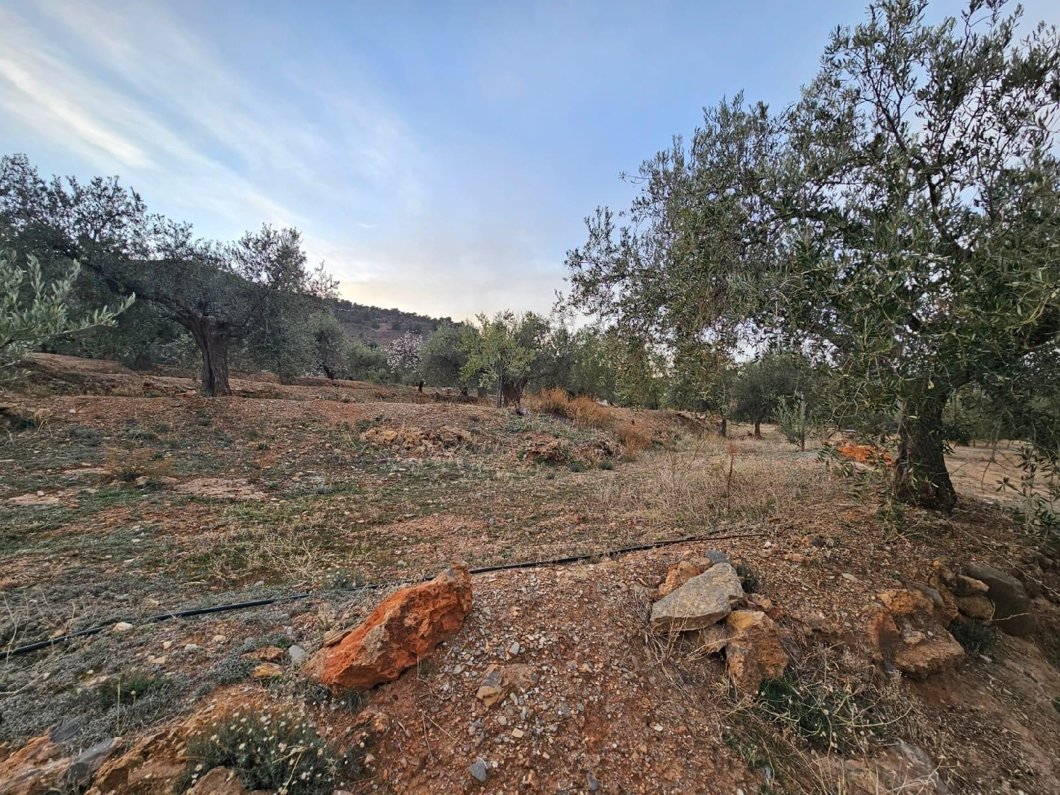  till salu hus Fondón Alpujarra Almeriense 5