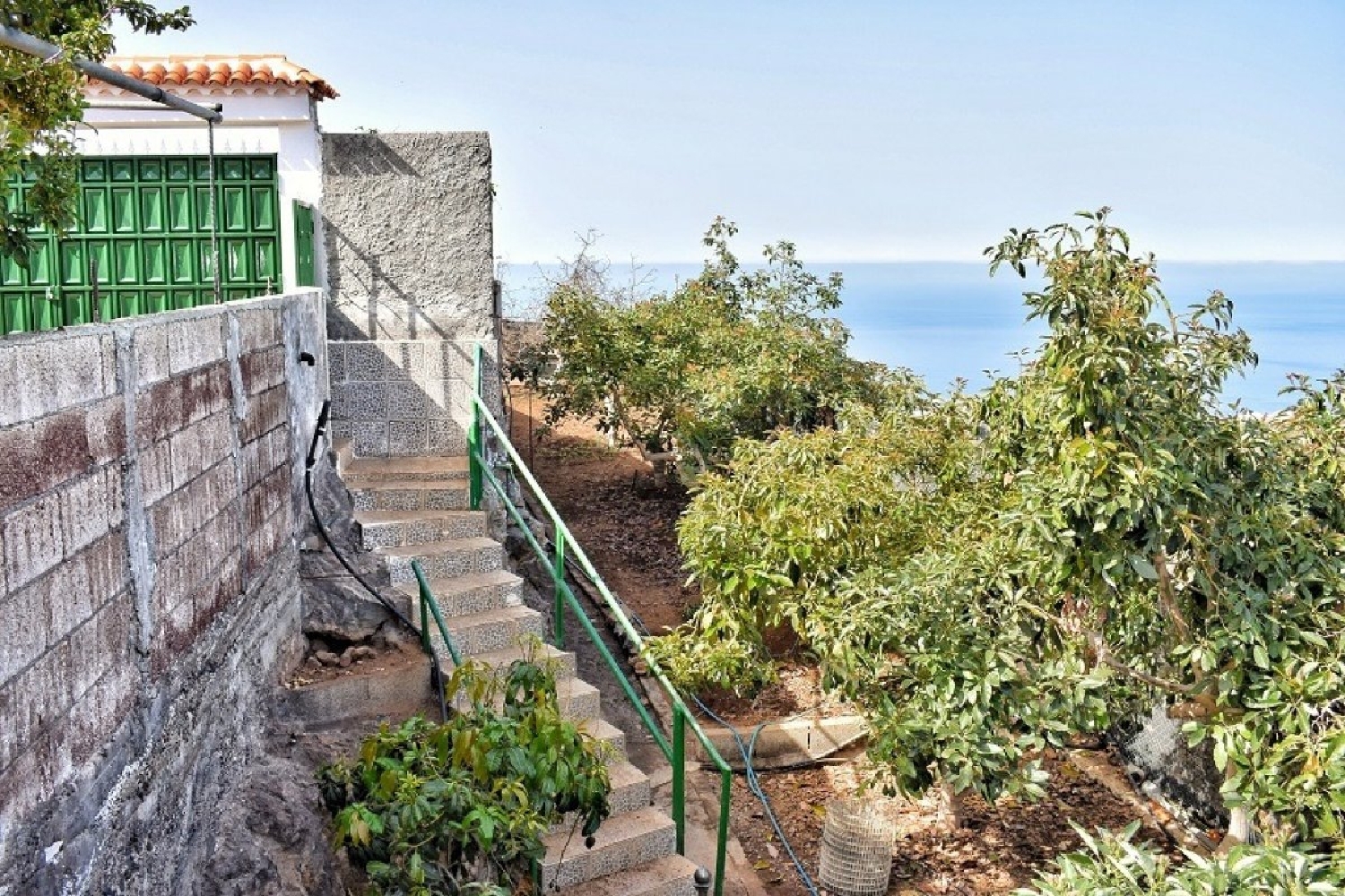  till salu hus Playa De San Juan Zona Suroeste 5