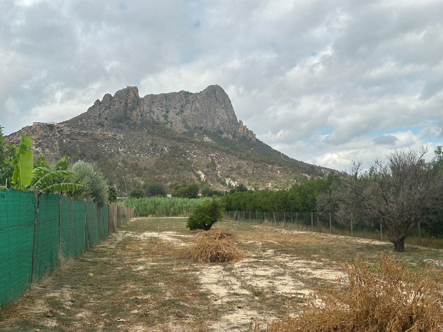  till salu hus Fuensantilla Vega Alta Del Segura 8