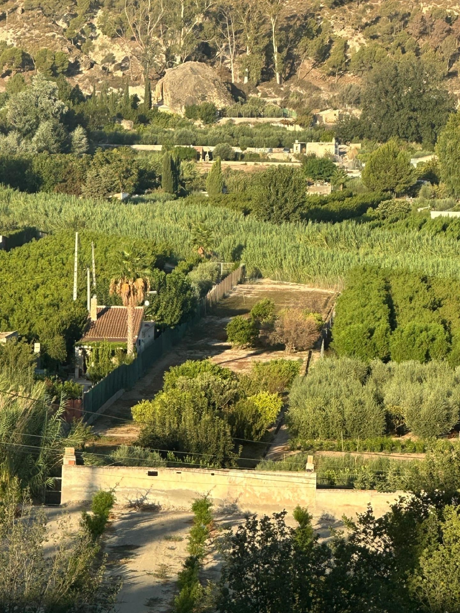 till salu hus Fuensantilla Vega Alta Del Segura 2
