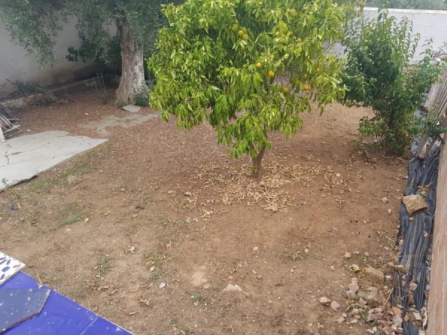  till salu hus Fuente Obejuna Valle Del Guadiato 5