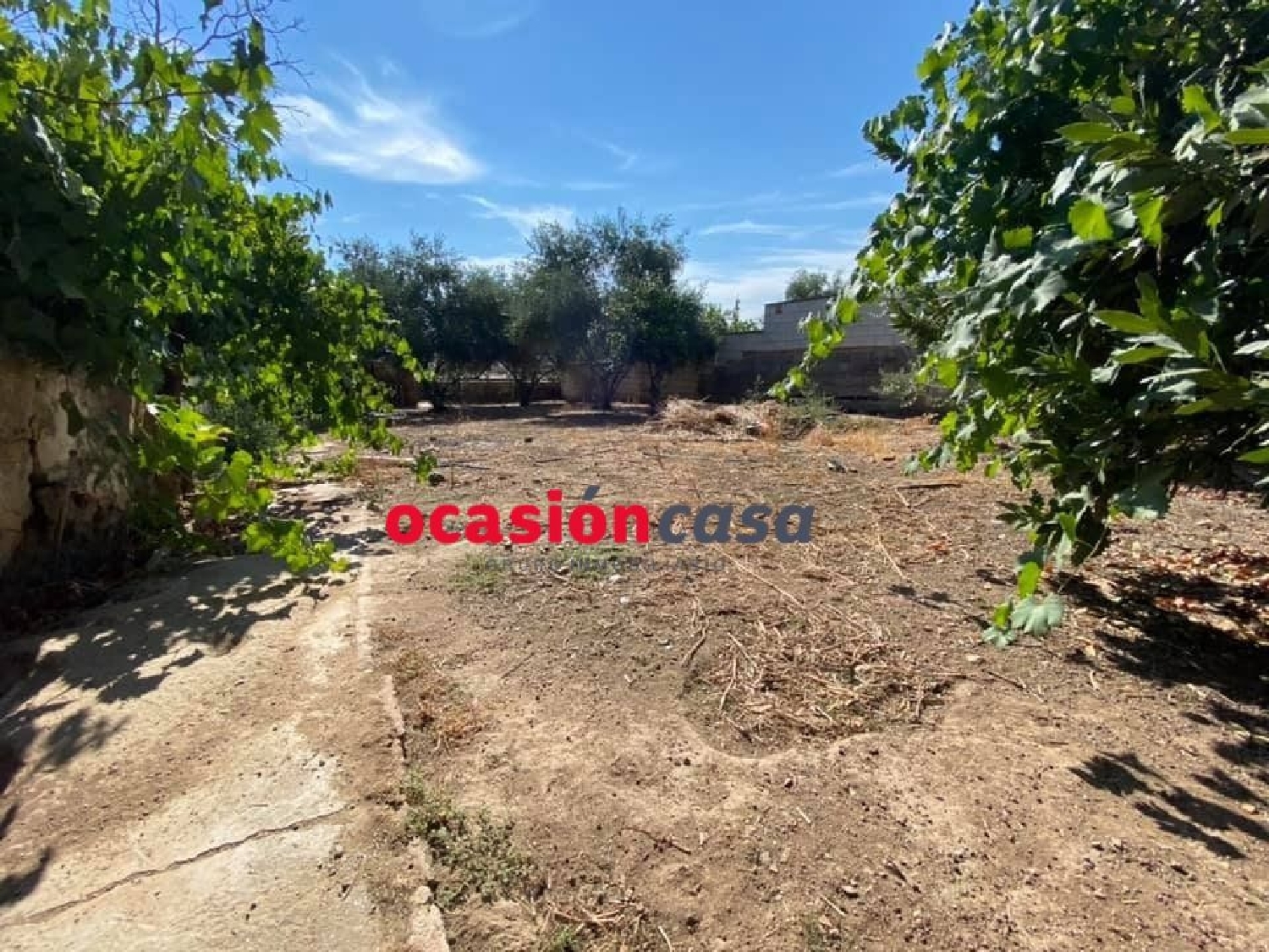  till salu hus Fuente Obejuna Valle Del Guadiato 7