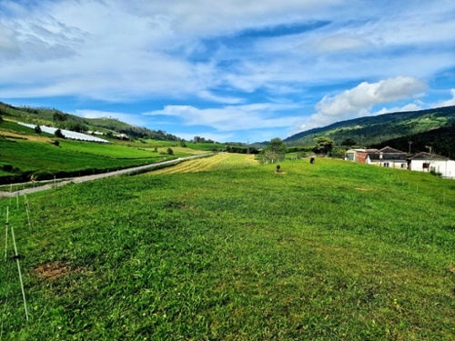 Gamones Eo-Navia hus foto 6228706