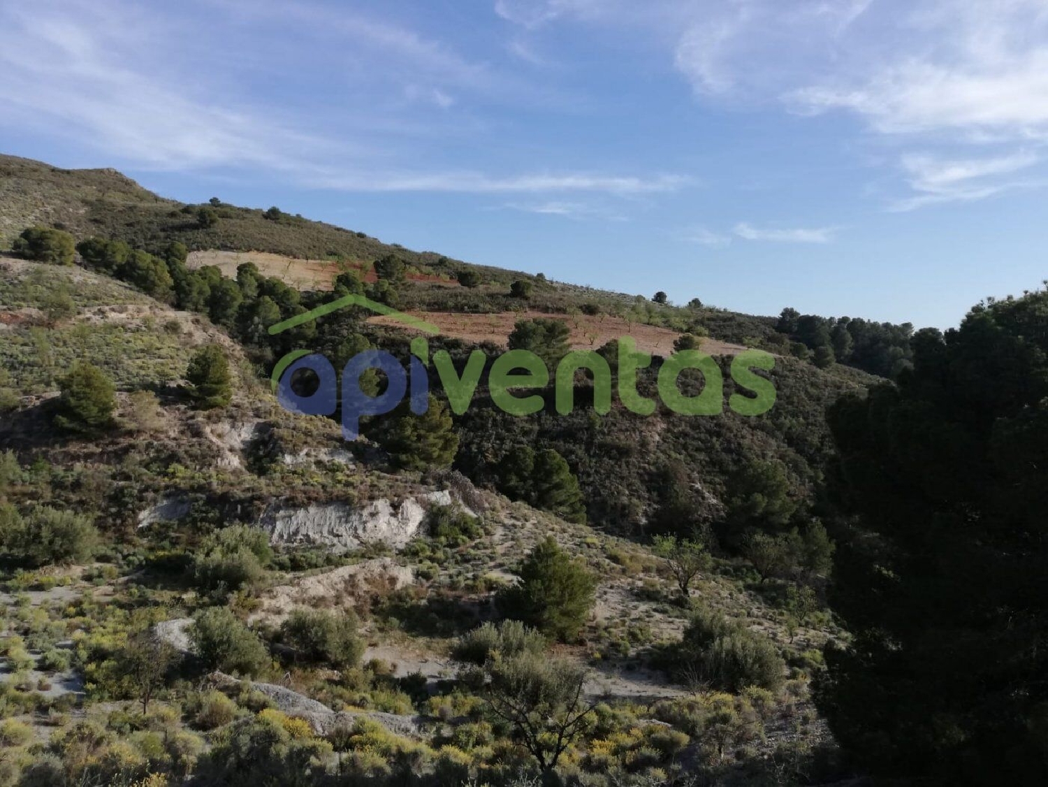  till salu hus Girona Los Cuzcos Y El Llano Alto Guadalentín 7