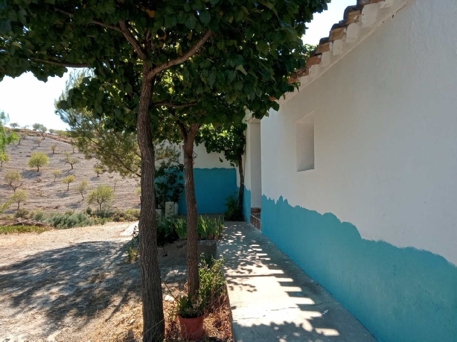  till salu hus Goñar Alto Guadalentín 5