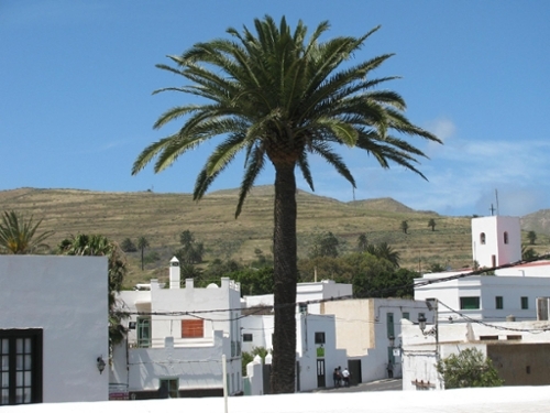 Haría Lanzarote hus foto 6234996