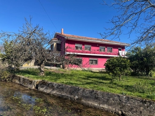 Ibio Saja-Nansa hus foto 6256928